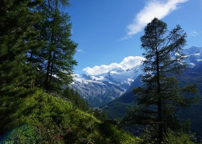 Rosenheim 公寓 萨斯格伦德