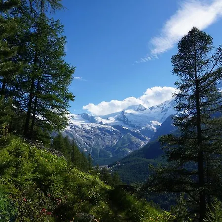 Rosenheim Daire Saas-Grund